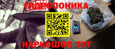 соль ск Дубна