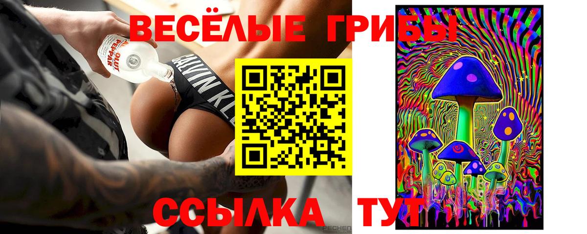 Псилоцибиновые грибы прущие грибы  купить   Кумертау  Галлюциногенные грибы GOLDEN TEACHER  Вход с VPN 